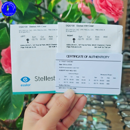 TRÒNG KÍNH KIỂM SOÁT CẬN THỊ STELLEST ESSILOR PHÁP