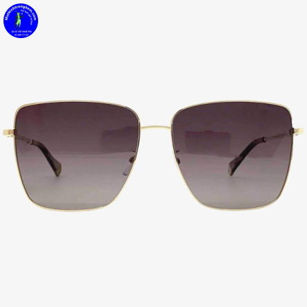 Kính Mát Polaroid PLD6164GS-06JLA Polarized Chính Hãng