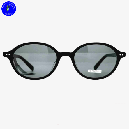 Kính Mát Molsion MS3115-C10 HD Polarized Chính Hãng