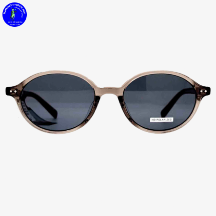 Kính Mát Molsion MS3115-C21 HD Polarized Chính Hãng