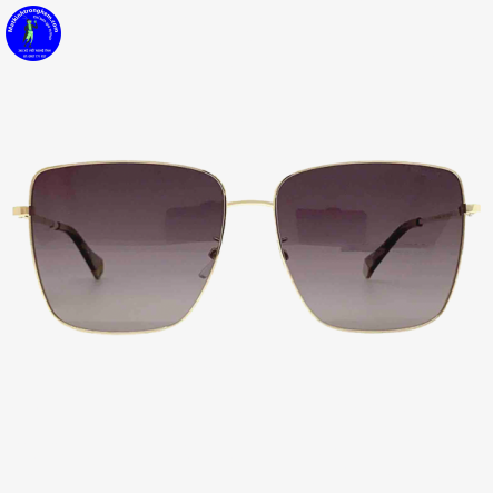Kính Mát Polaroid PLD6164GS-06JLA Polarized Chính Hãng