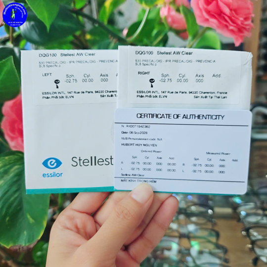 TRÒNG KÍNH KIỂM SOÁT CẬN THỊ STELLEST ESSILOR PHÁP