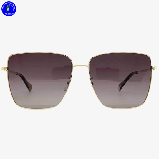 Kính Mát Polaroid PLD6164GS-06JLA Polarized Chính Hãng