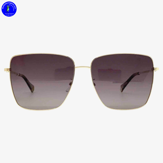 Kính Mát Polaroid PLD6164GS-06JLA Polarized Chính Hãng