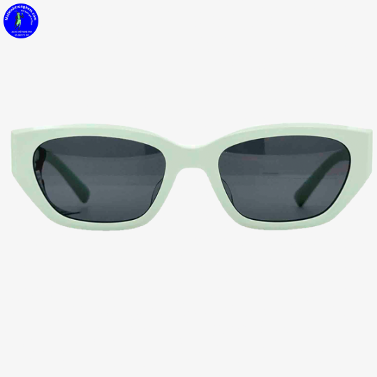 Kính Mát Molsion MS3100-A80 UV Protection Chính Hãng
