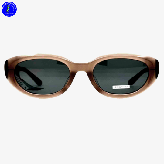 Kính Mát Molsion MS3110-C21 HD Polarized Chính Hãng